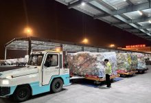 从美国邮寄保健品回北京有什么规定吗