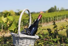 一瓶红酒从法国寄到中国大概要多少邮费